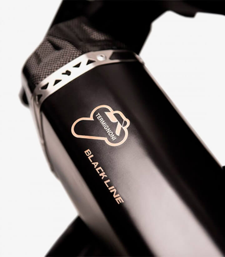 Termignoni Scream ADV Exhaust stainless steel for BMW R 1200 GS (17-19) BW1508040IBC