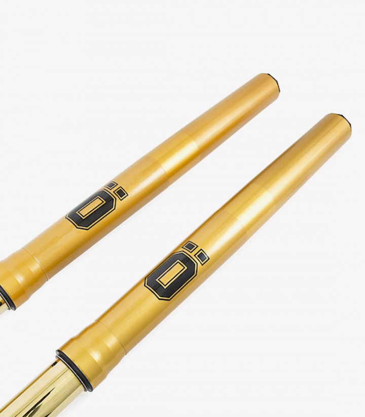 Öhlins Front Park Honda CRF1000L Africa TWIN (18-19) FFHO 102