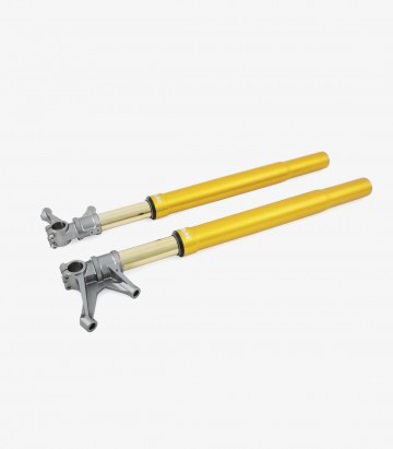 Öhlins Front Park Ducati Multistrada V2 / S (24), Panigale V4 / R / S (19-25), Supersport 950 (24) FGR 254