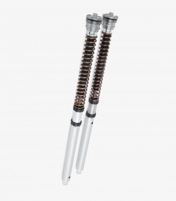 Cartucho Horquilla Öhlins para Honda CBR 1000 RR (12-19) FGK 222