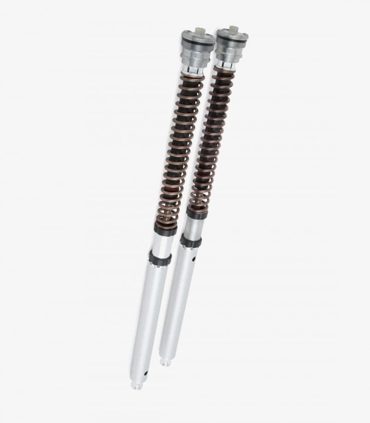 Öhlins Fork Cartridge for Ducati 899 / 959 Panigale, Diavel V4 S, Multistrada V2 / S, Panigale V2 / V4, Streetfighter V2 / V4, S