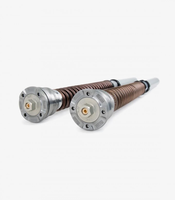 Öhlins Fork Cartridge for Ducati 899 / 959 Panigale, Diavel V4 S, Multistrada V2 / S, Panigale V2 / V4, Streetfighter V2 / V4, S