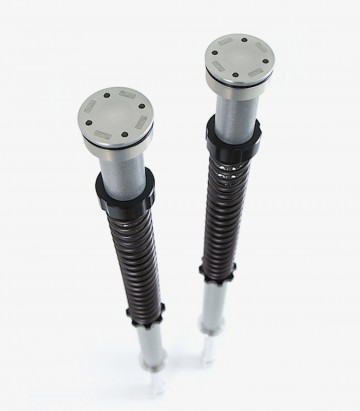 Öhlins Fork Cartridge for Ducati 1199 Panigale R (12-14), 1299 Panigale S (15-17), Panigale V4 S / Speciale (18-23) FKR 108