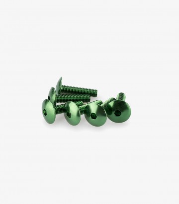 Blister 6 Tornillos Abombados M6x25mm Verde Puig 0689V
