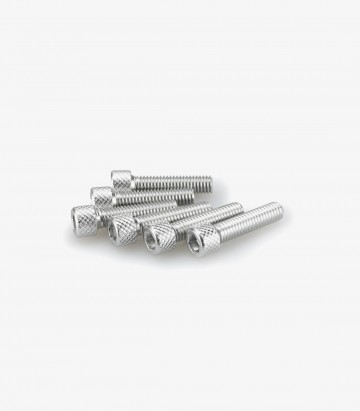 Puig 6 M6x25mm Allen Screws in Silver 0544P