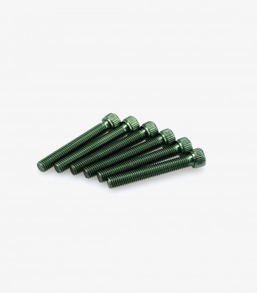 Blister 6 Tornillos Allen M8x55mm Verde Puig 0540V