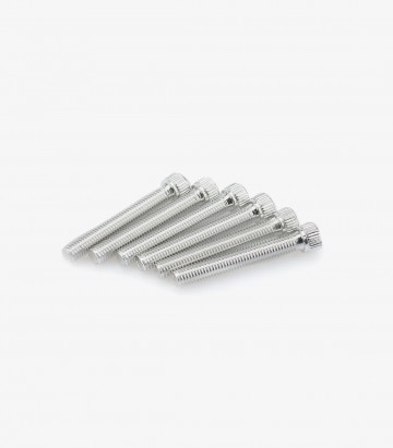 Puig 6 M8x55mm Allen Screws in Silver 0540P