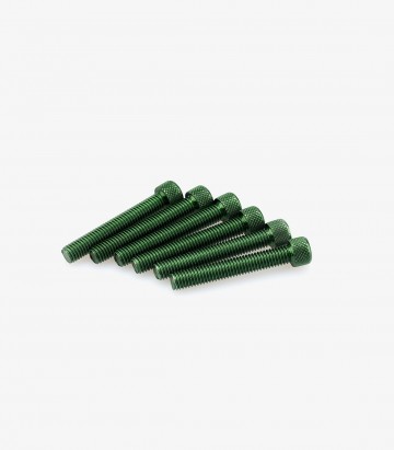 Blister 6 Tornillos Allen M8x50mm Verde Puig 0524V