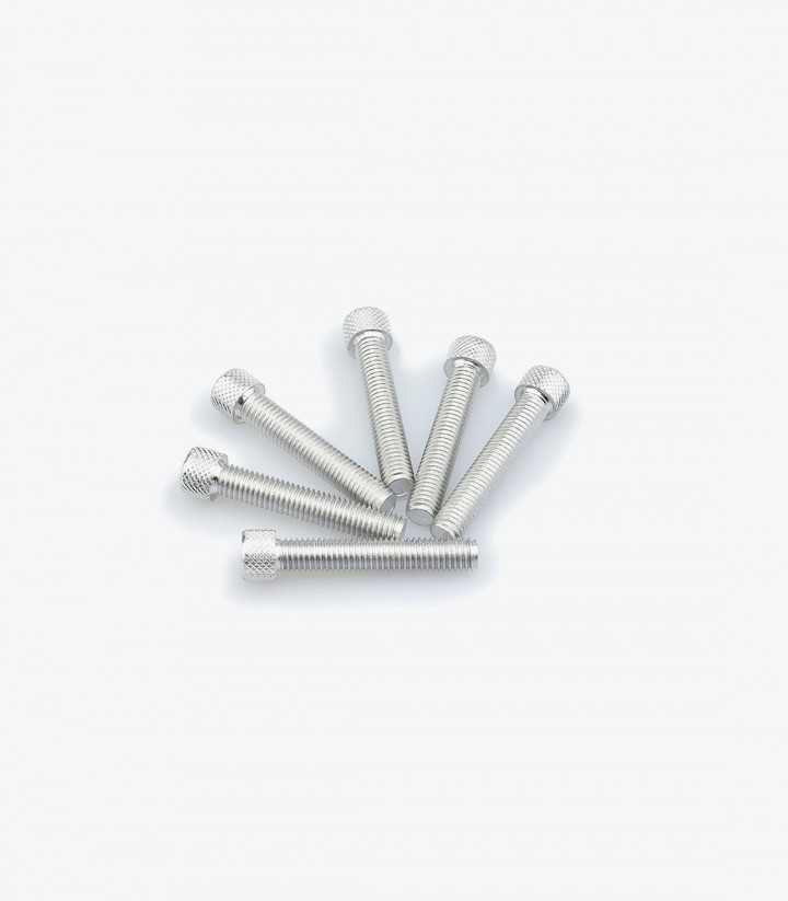 Blister 6 Tornillos Allen M8x45mm Plateado Puig 0516P