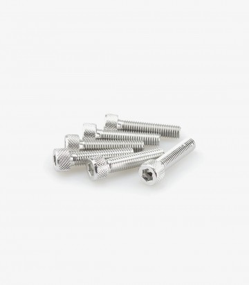 Puig 6 M8x35mm Allen Screws in Silver 0500P