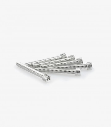 Blister 6 Tornillos Allen M6x50mm Plateado Puig 0421P