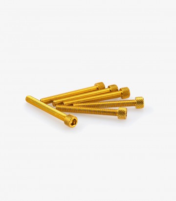 Blister 6 Tornillos Allen M6x50mm Amarillo Puig 0421G