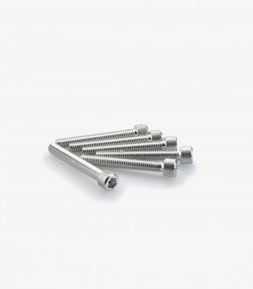 Blister 6 Tornillos Allen M6x45mm Plateado Puig 0370P