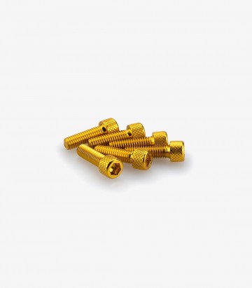 Blister 6 Tornillos Allen M6x20mm Amarillo Puig 0364G