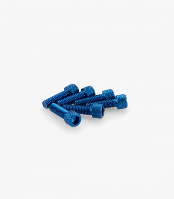 Blister 6 Tornillos Allen M6x20mm Azul Puig 0364A