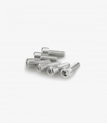 Blister 6 Tornillos Allen M6x15mm Plateado Puig 0363P