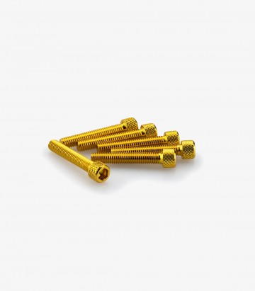 Blister 6 Tornillos Allen M6x35mm Amarillo Puig 0346G